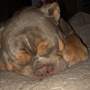 Meet your Posher, Jon